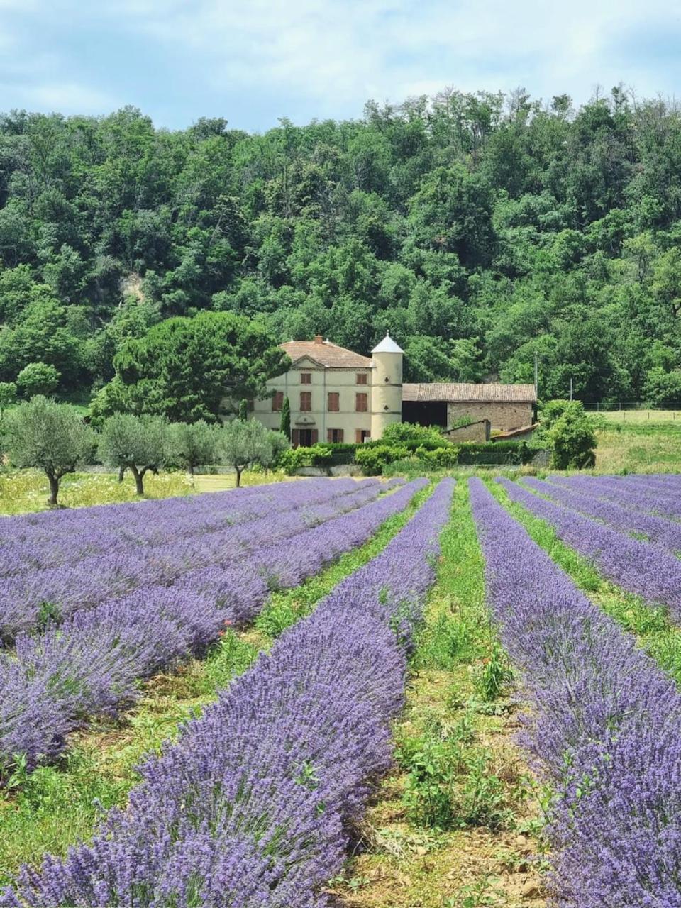 Domaine Des Balmes Villa Romans-sur-Isère Екстериор снимка